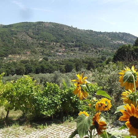 Quinta Do Pina Apartment Guarda Bagian luar foto