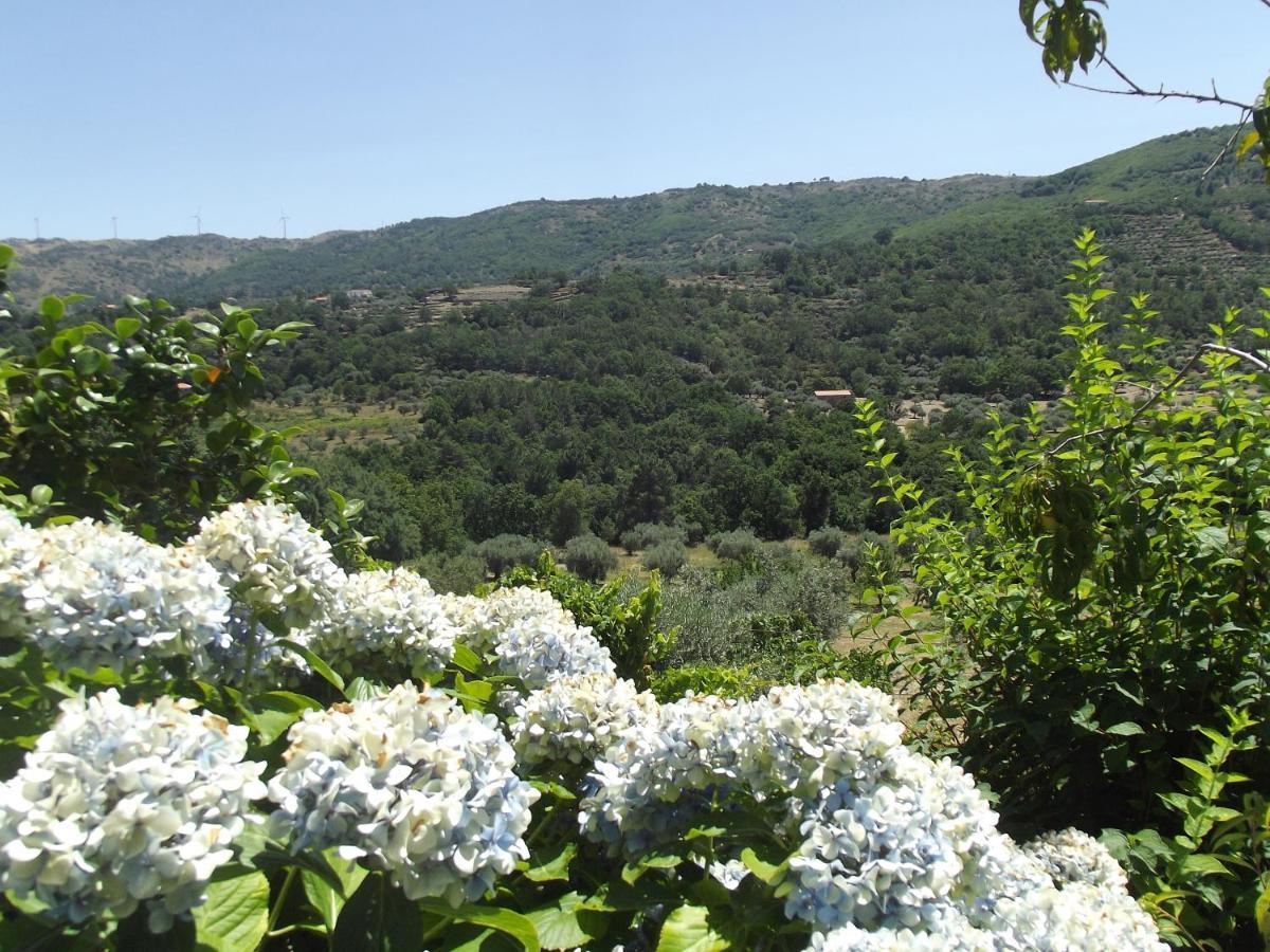 Quinta Do Pina Apartment Guarda Bagian luar foto