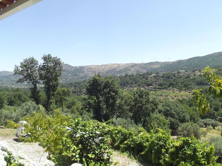 Quinta Do Pina Apartment Guarda Bagian luar foto